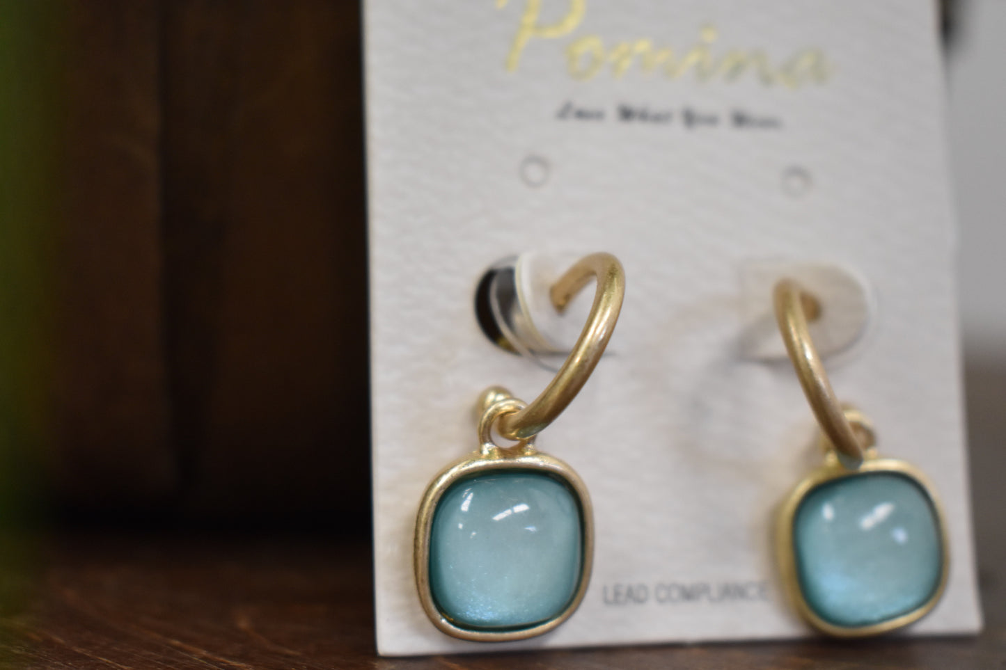 Resin Stone Drop Hoop Earrings