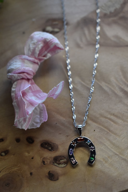 Stoned Horseshoe Silver Necklace
