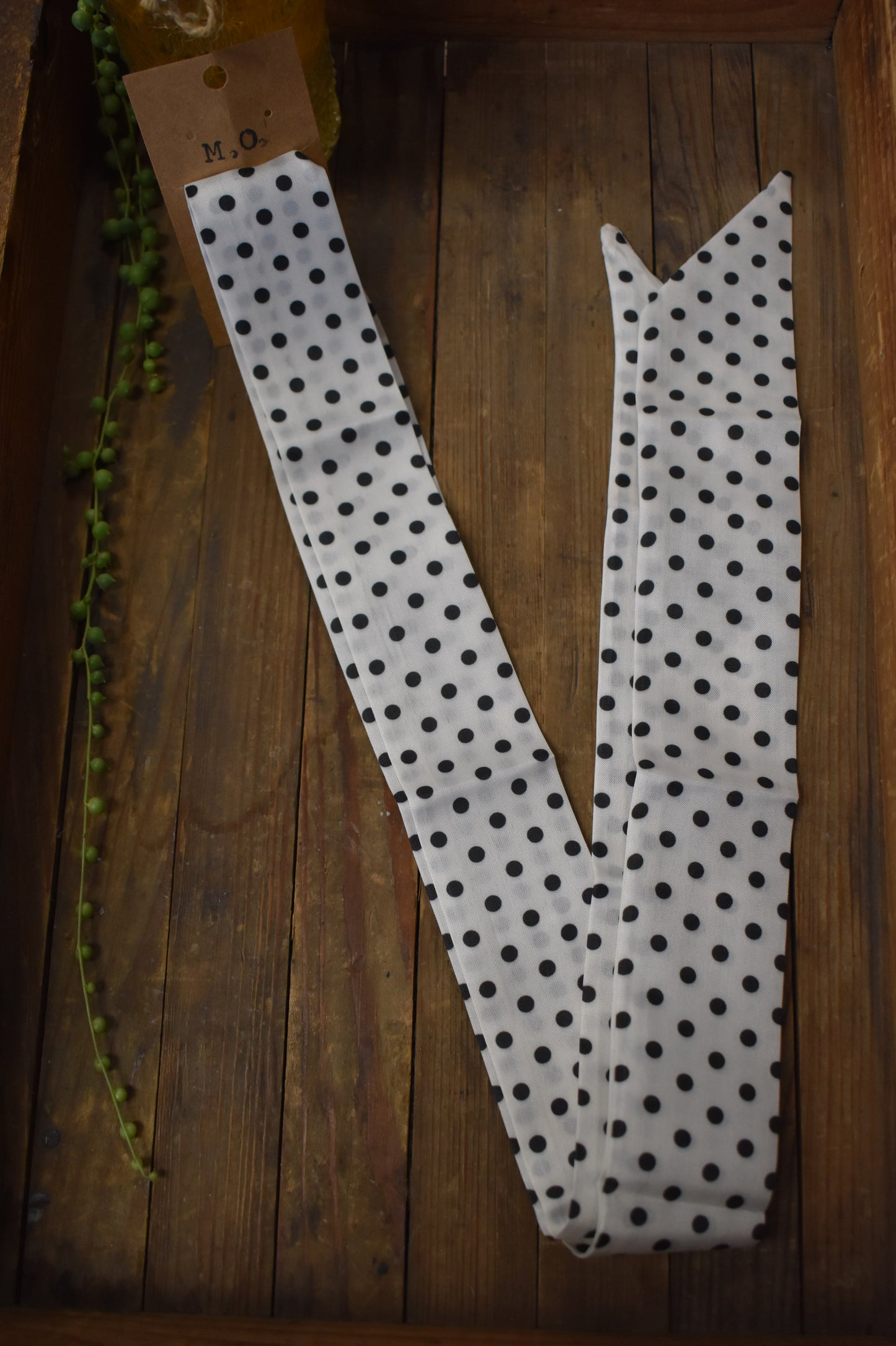 Polka Dot Twilly Scarf