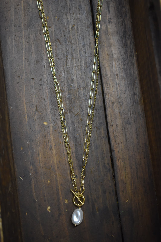 Double Strand Clasp Necklace