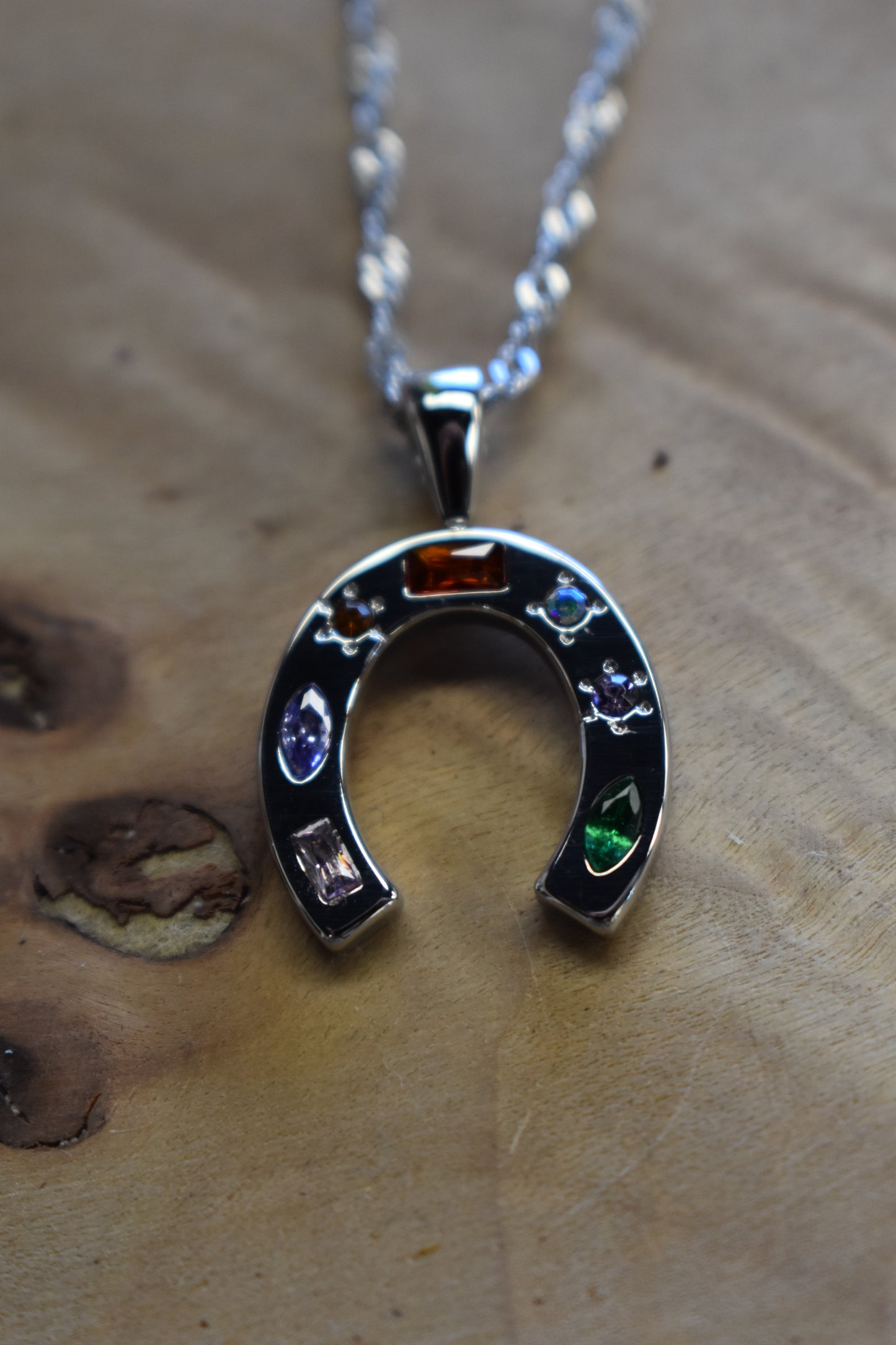 Stoned Horseshoe Silver Necklace