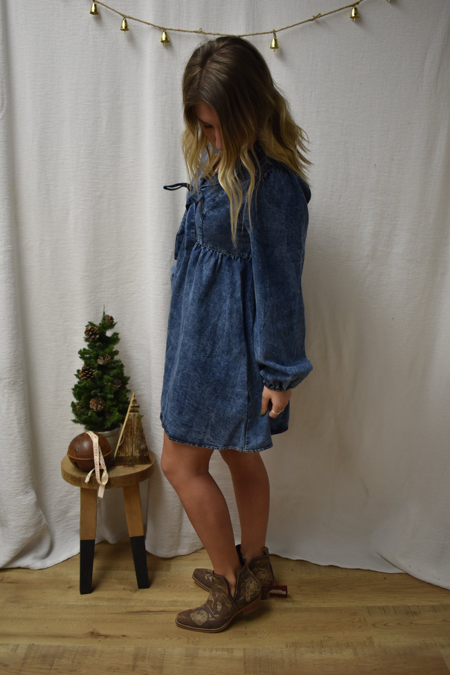 The Dani Denim Dress