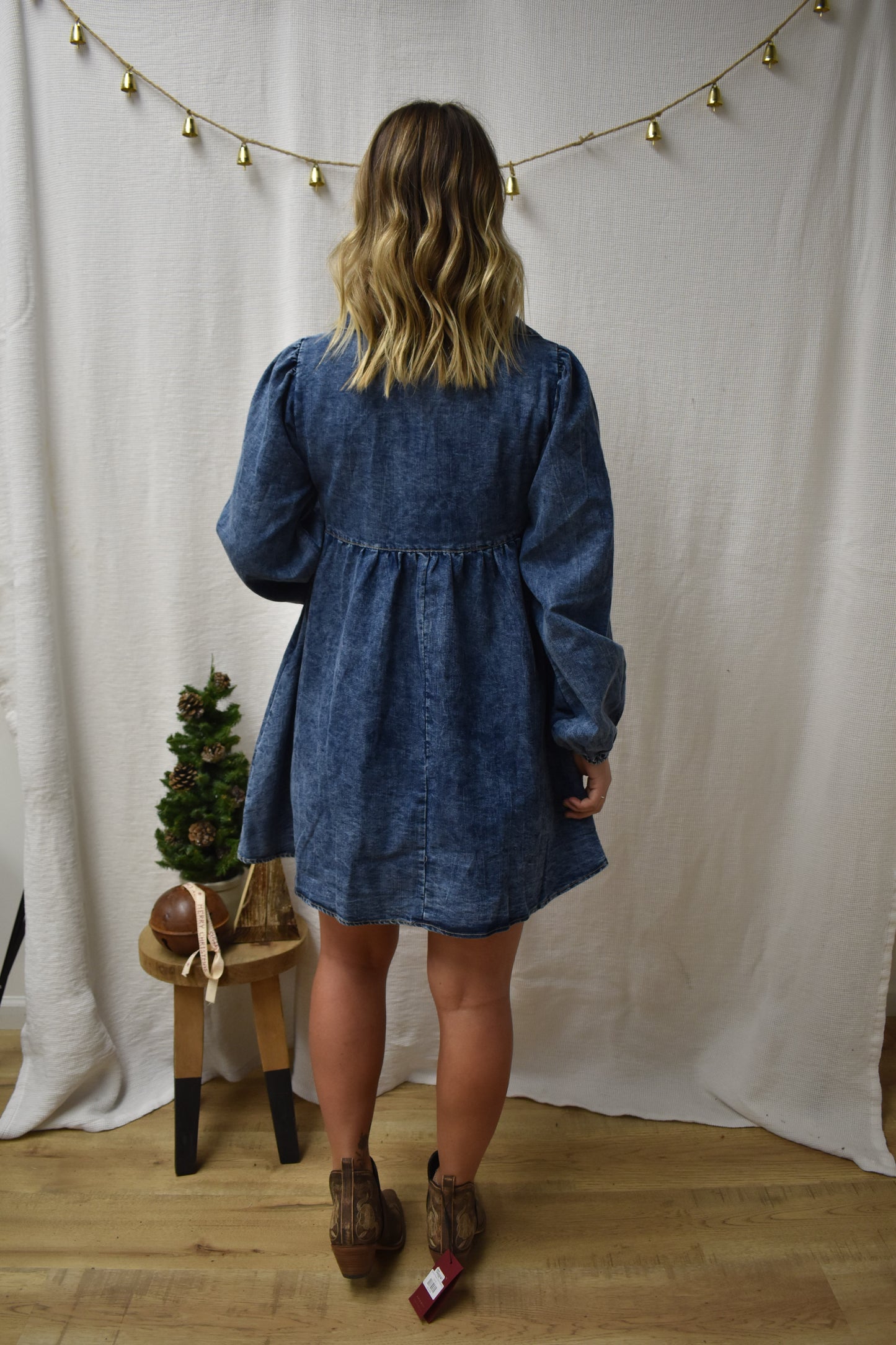 The Dani Denim Dress
