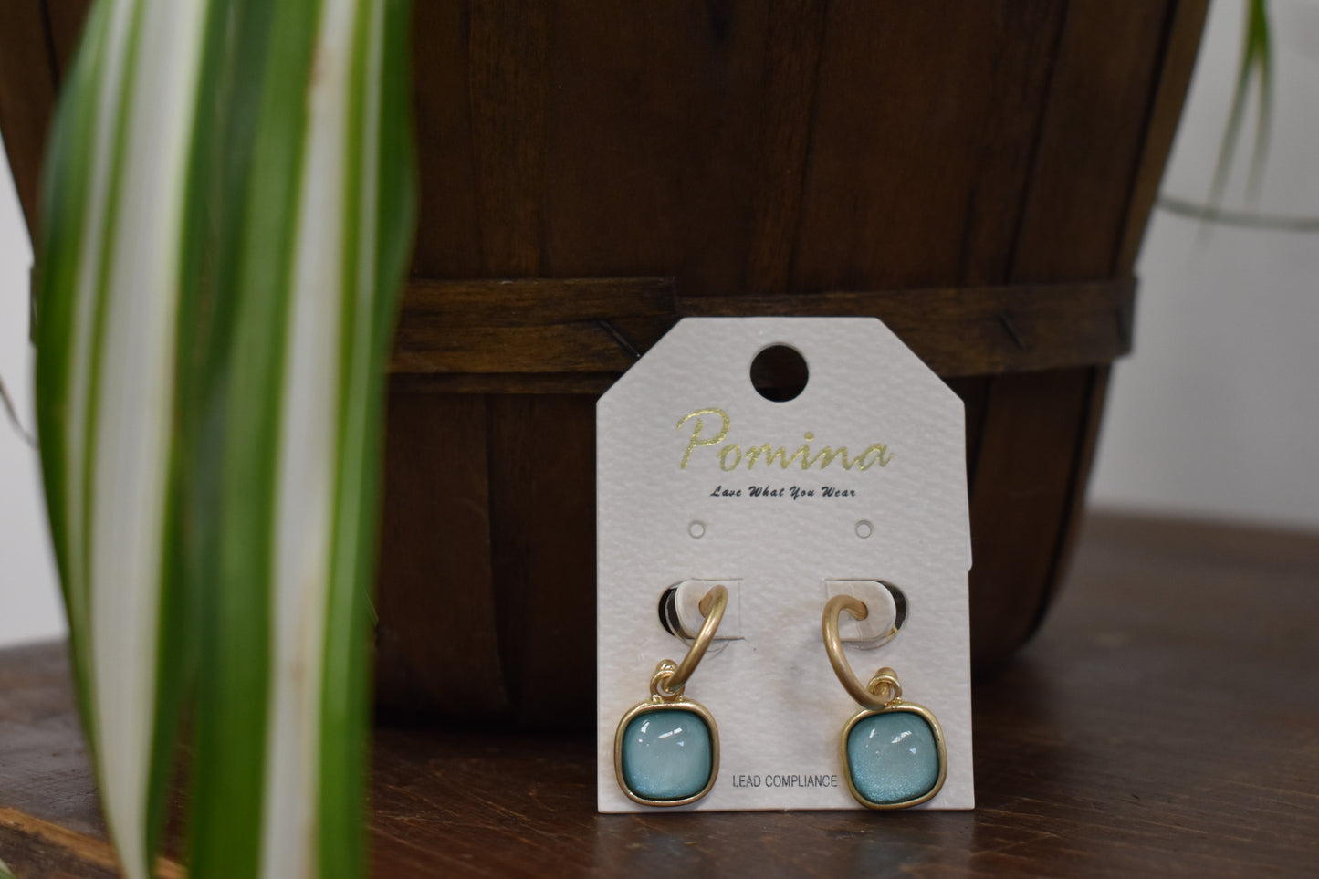 Resin Stone Drop Hoop Earrings