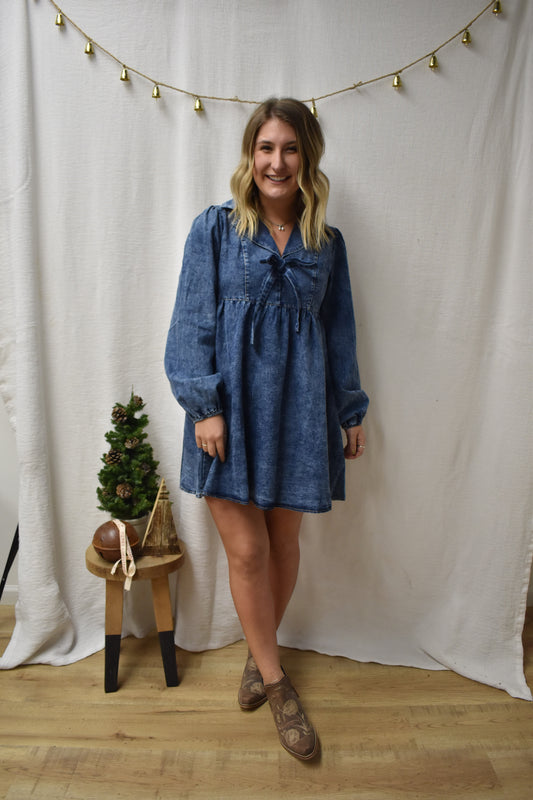 The Dani Denim Dress