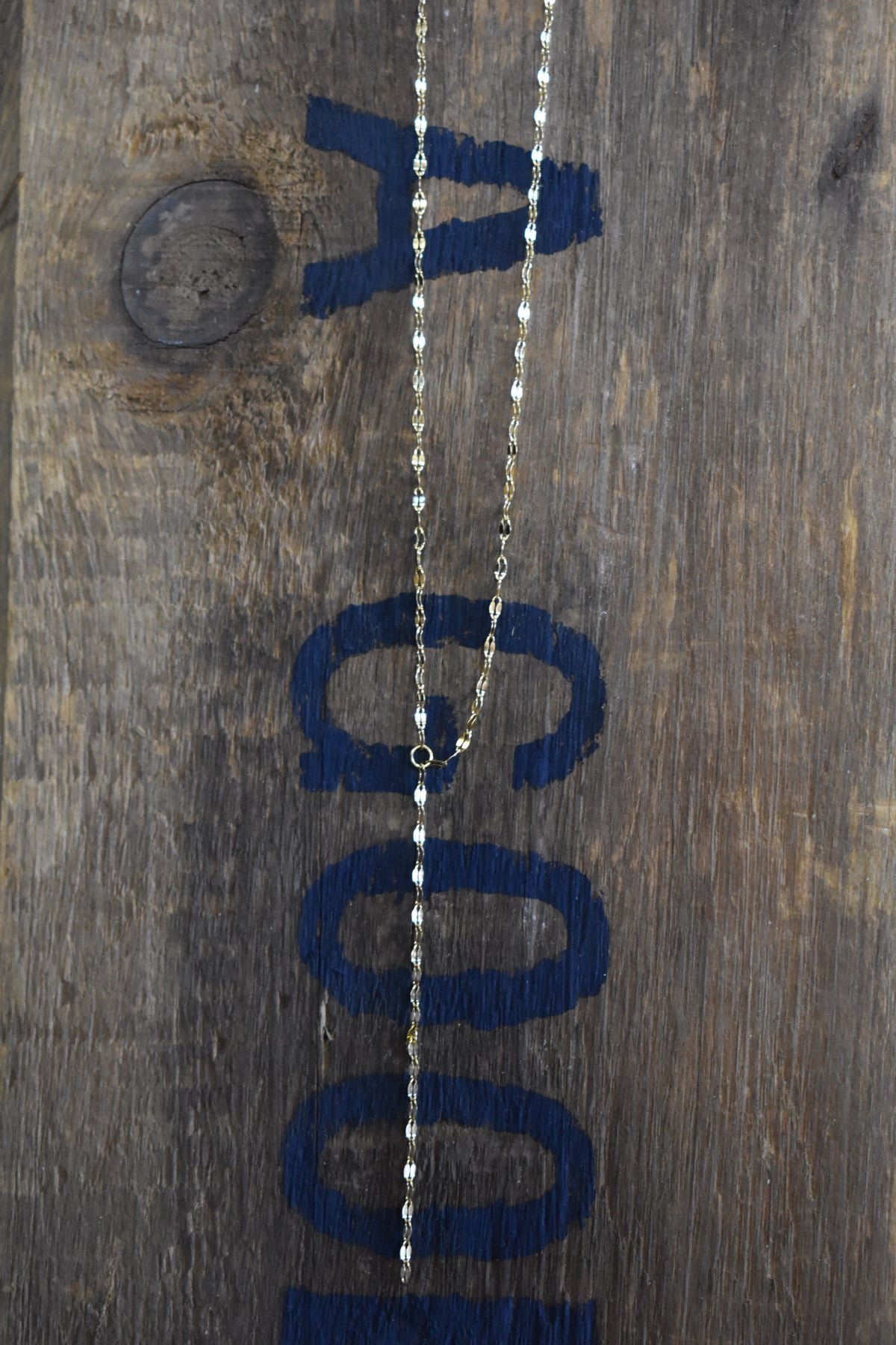Gold Lariat Necklace